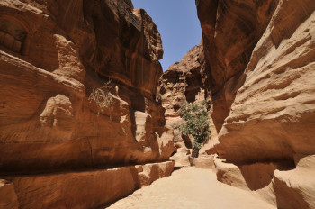 Jordanie, <br> terre de trésors légendaires